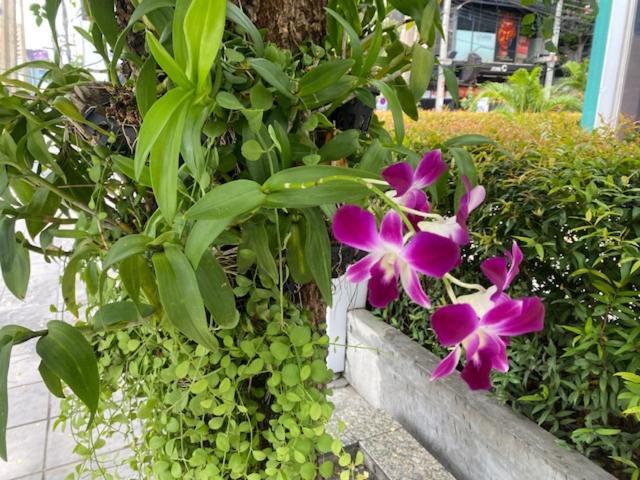 Vivi Avenue Thonglor Leilighet Bangkok Eksteriør bilde